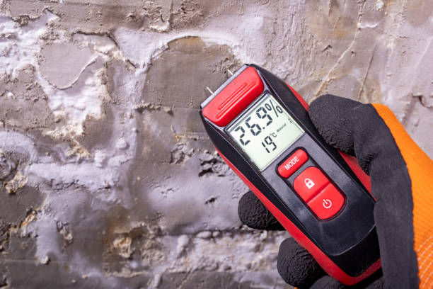Professional Mold Remediation in Pinardville, NH